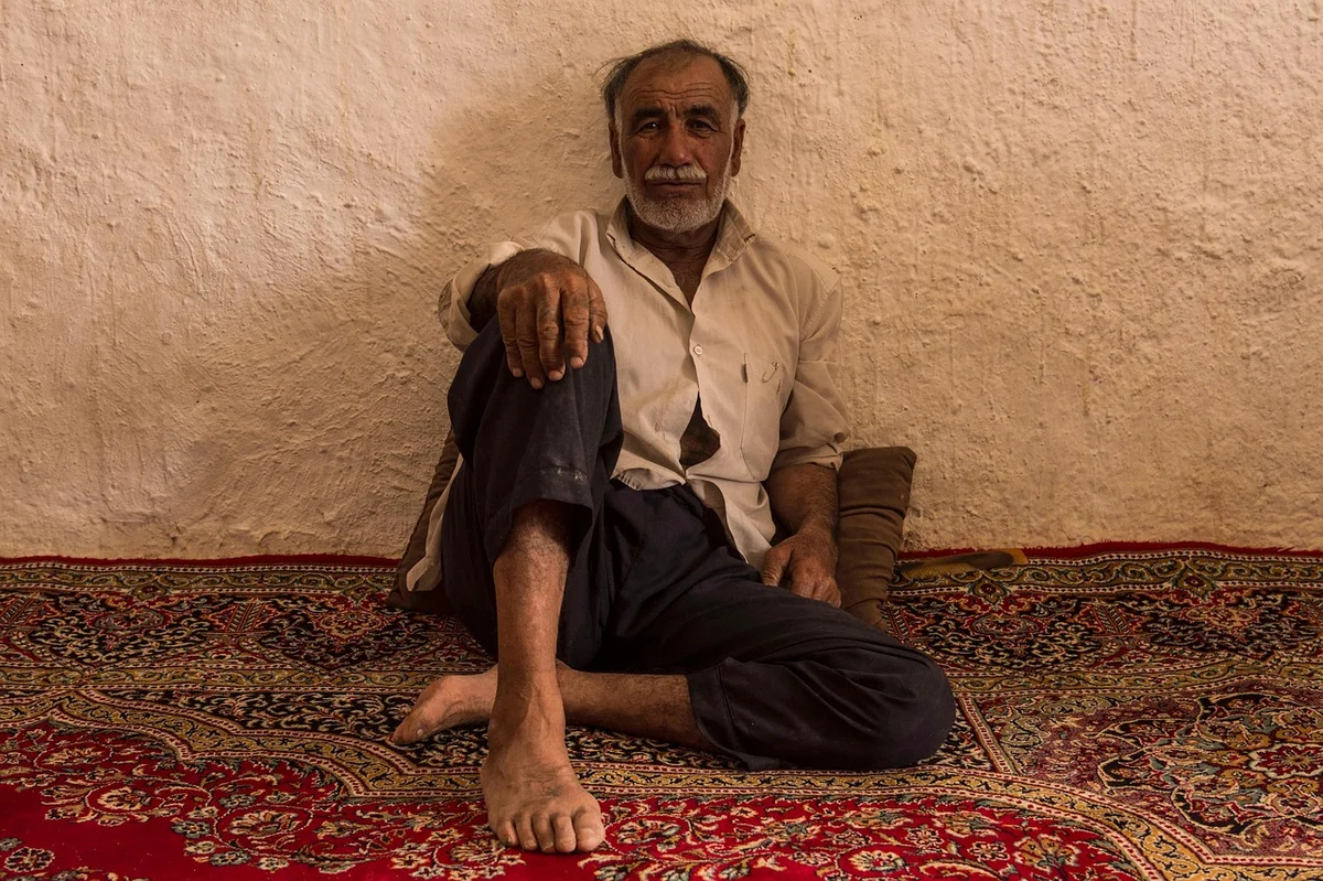 シャワルマの地域バリエーション。レバノン式とトルコ式の違いが一目でわかる盛り付け