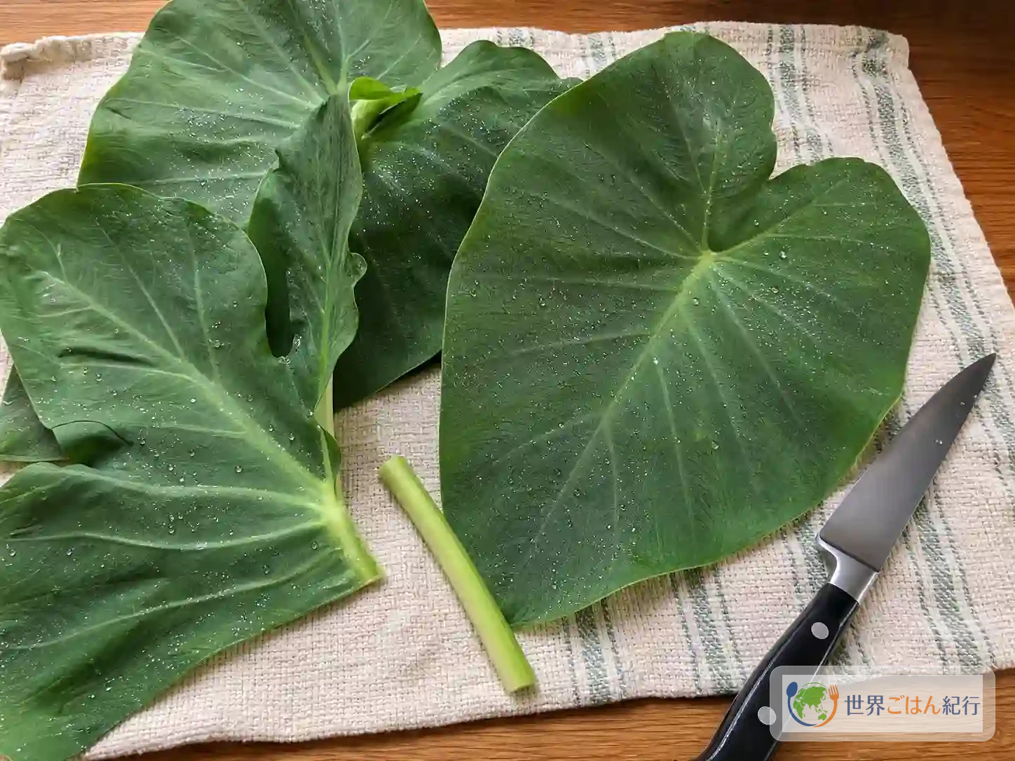 手順1: 葉を洗い、食べられる状態へ整える